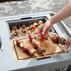 22” Performer™ Premium Charcoal Grill