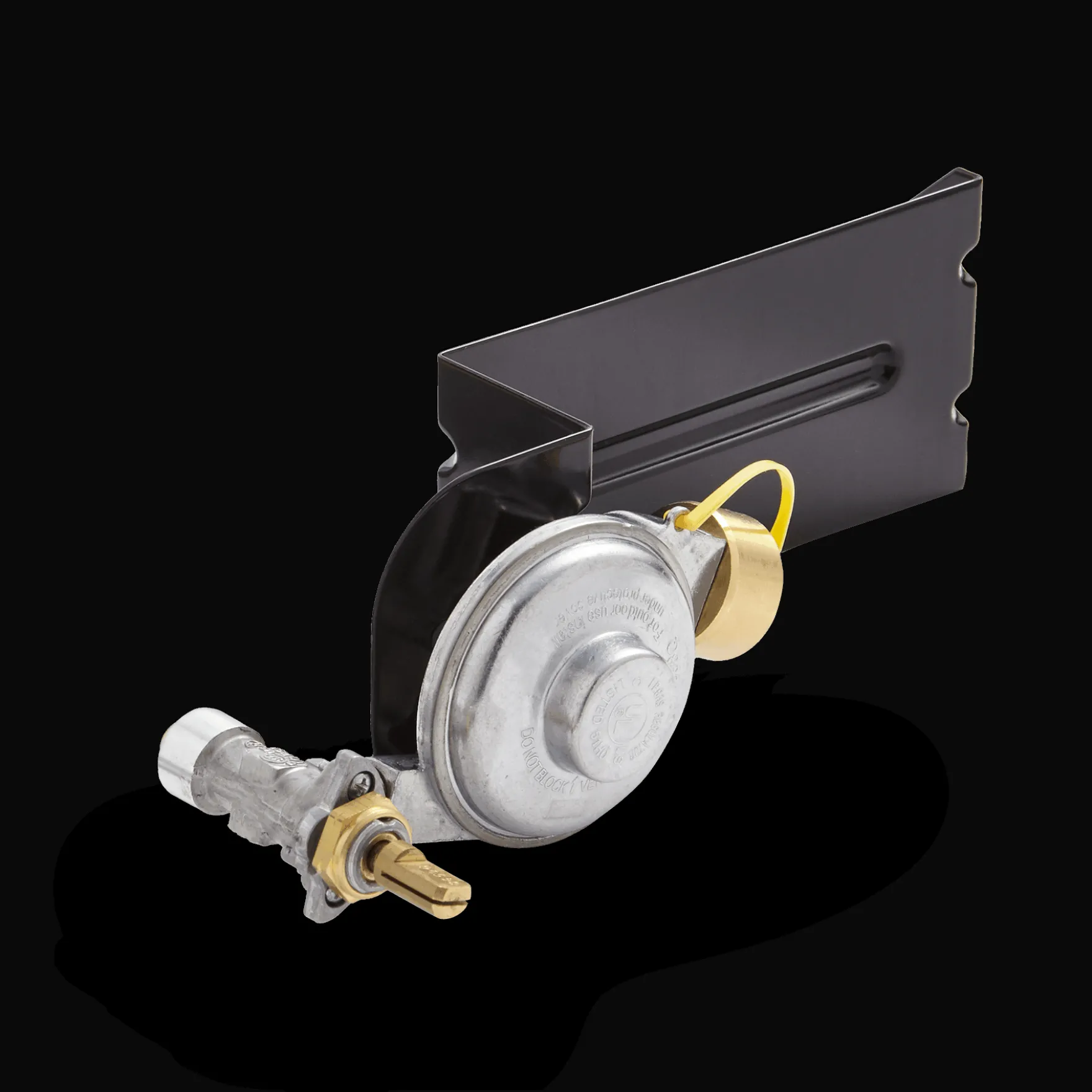 Gas Valve and Regulator Assembly