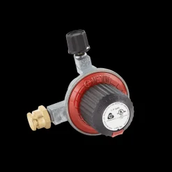 Gas Valve and Regulator Assembly