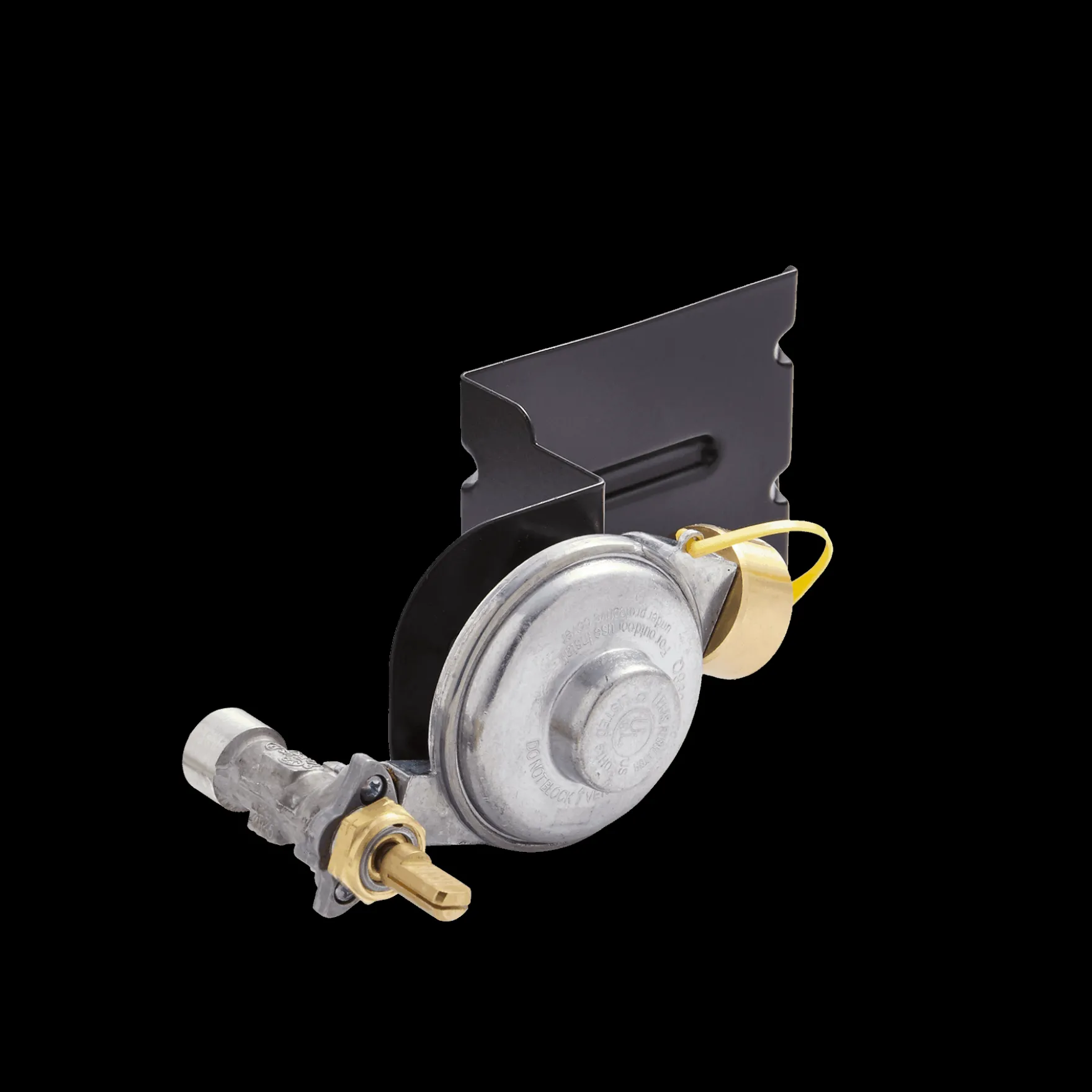 Gas Valve and Regulator Assembly