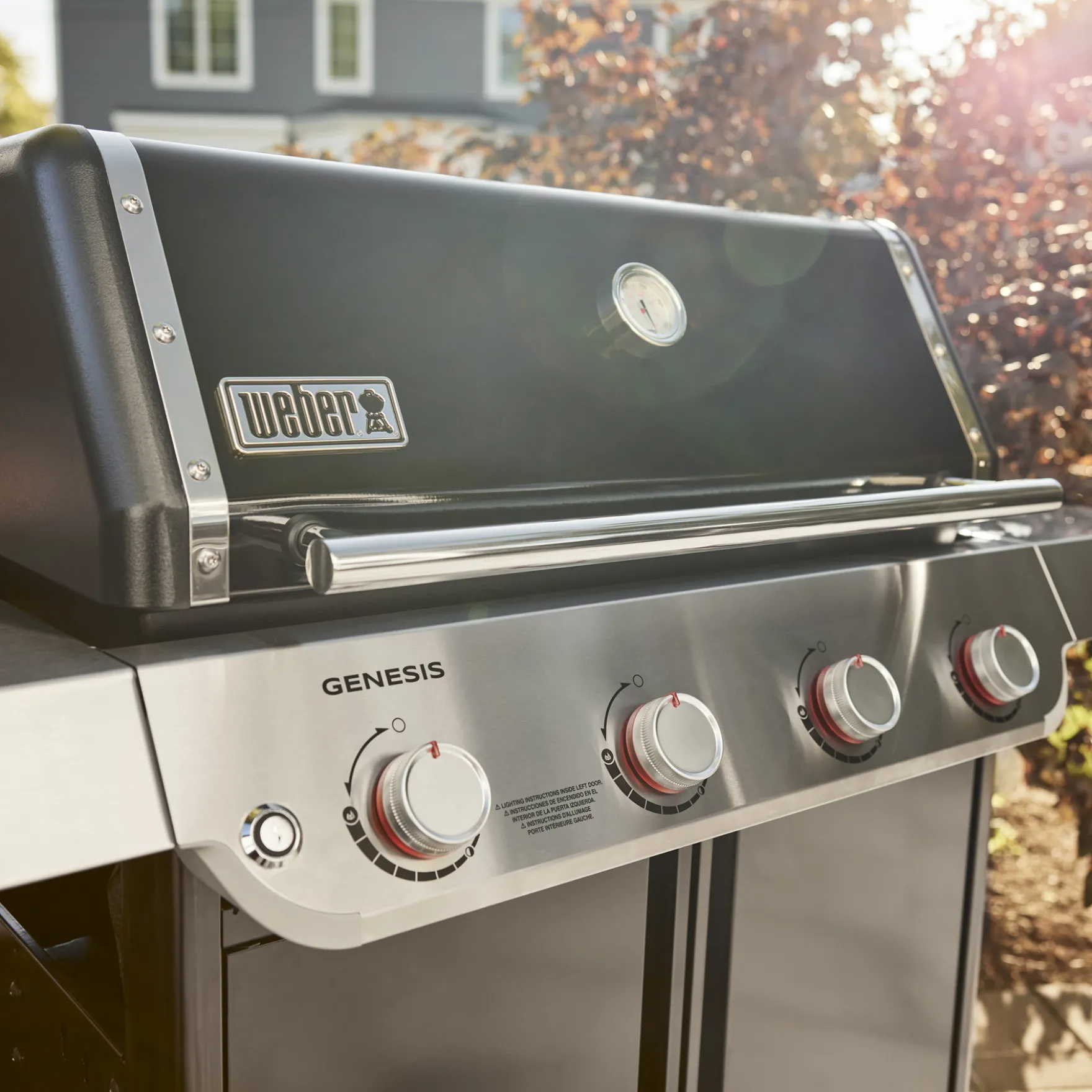 Genesis E-415 Gas Grill (Liquid Propane)