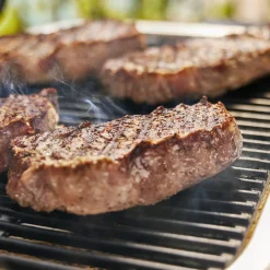 Lumin Electric Grill