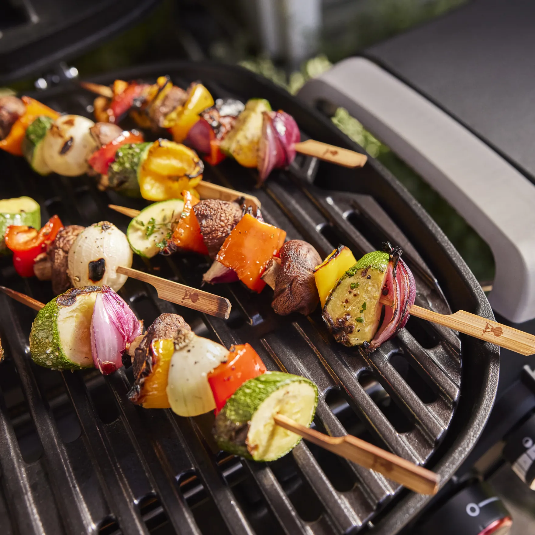 Q 2800N+ Gas Grill (Liquid Propane)