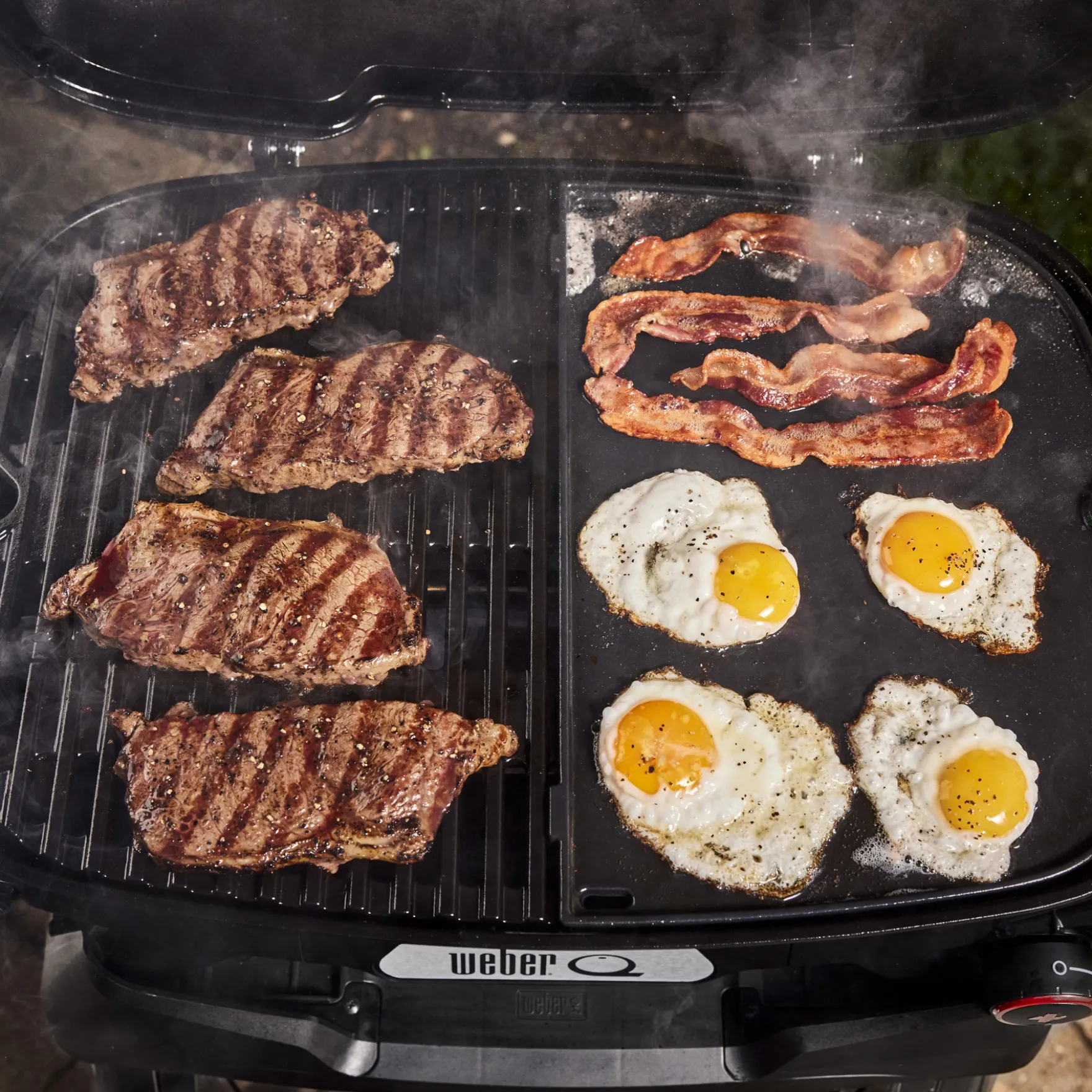 Q 2800N+ Gas Grill (Liquid Propane)