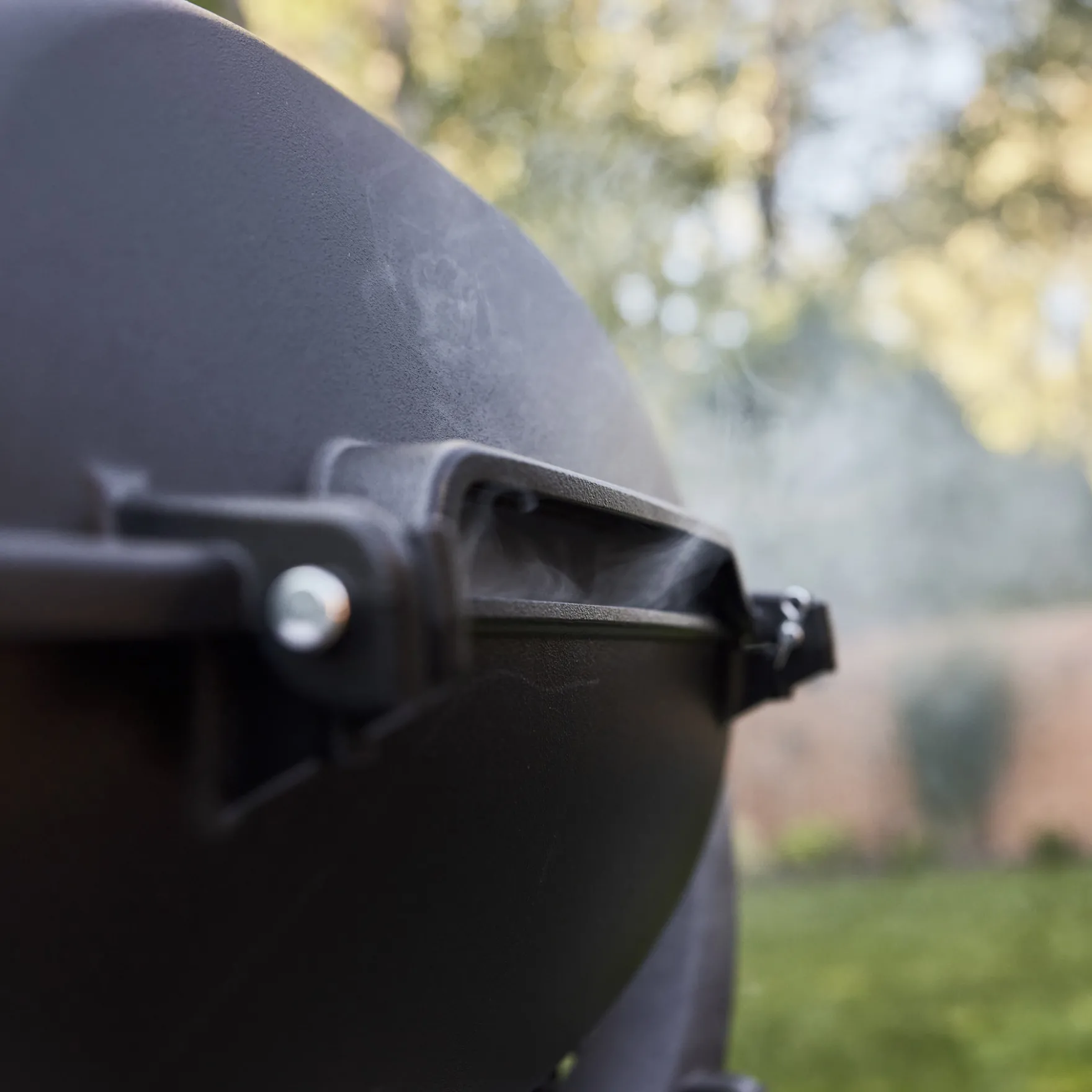 Q 2800N+ Gas Grill (Liquid Propane)