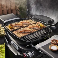 Q 2800N+ Gas Grill with Stand (Liquid Propane)
