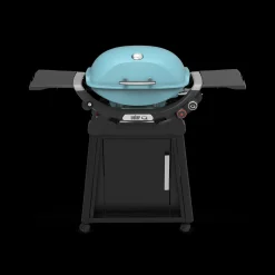 Q 2800N+ Gas Grill with Stand (Liquid Propane)
