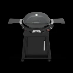 Q 2800N+ Gas Grill with Stand (Liquid Propane)