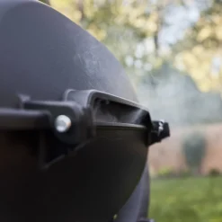 Q 2800N+ Gas Grill with Stand (Liquid Propane)