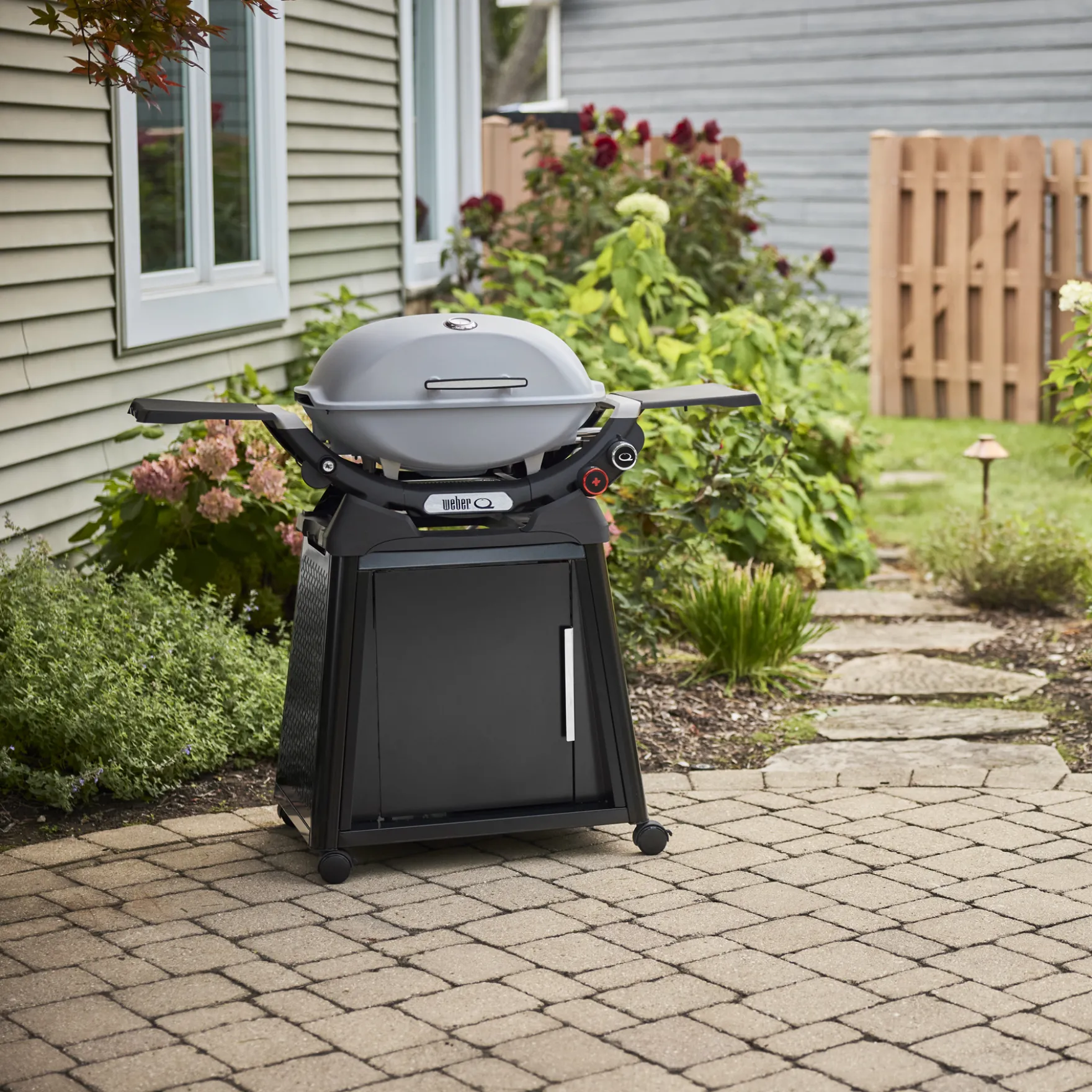 Q 2800N+ Gas Grill with Stand (Liquid Propane)
