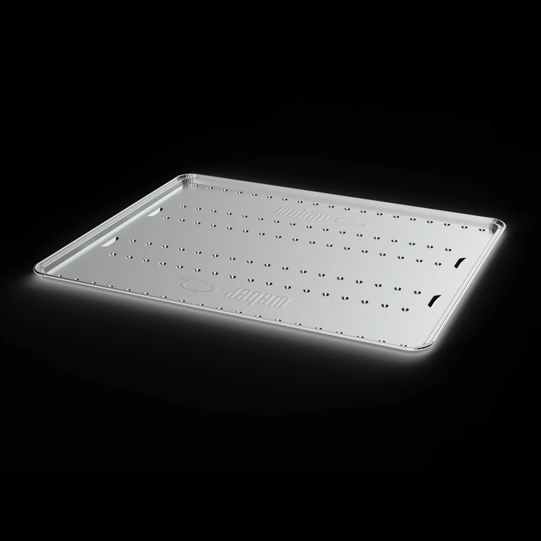 Roasting Trays