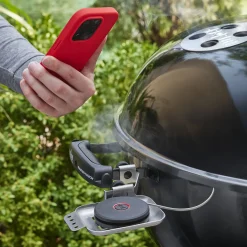 Smart Probe and Grate Sensor