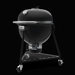 Summit® Kamado E6 Charcoal Grill