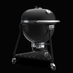 Summit® Kamado E6 Charcoal Grill