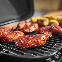 WEBER TRAVELER® COMPACT Portable Gas Grill