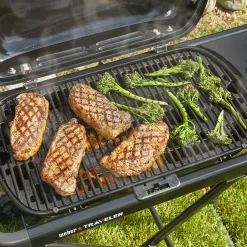 WEBER TRAVELER® Portable Gas Grill