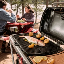 Weber Traveler® RV Portable Gas Grill